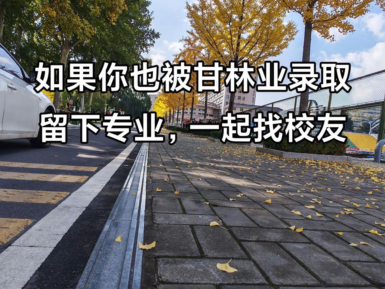 甘肃林业职业技术学院甘肃林业职业技术大学专业志愿录取专业录取结果大一新生