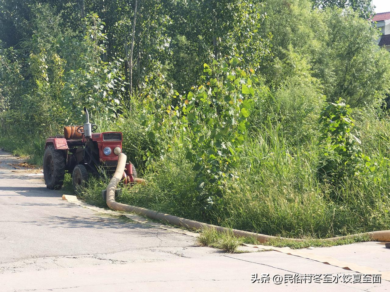 大家当地正忙着抗洪还是抗旱？
心疼河南漯河周口泥河洼滞洪区，江苏宜兴，广西浙江等