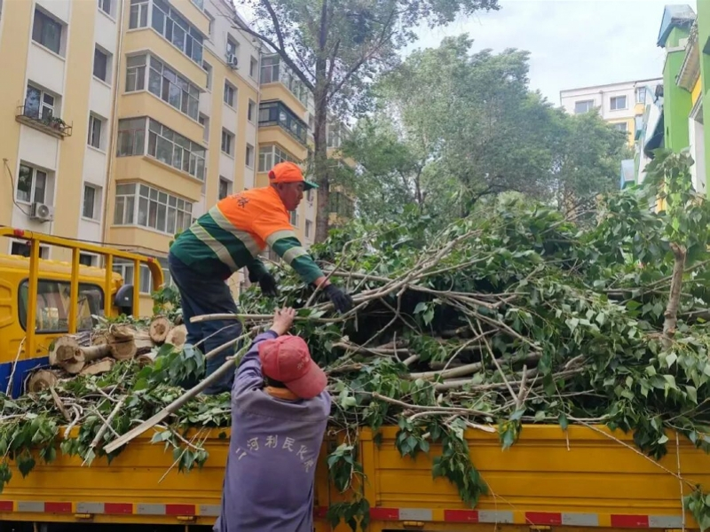 #哈尔滨沙尘暴PM10浓度暴涨#【沙尘暴突袭哈尔滨续：当地正处置隐患树木，修复变