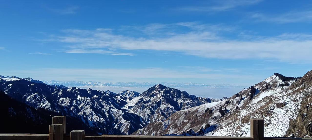 发一张图证明你在新疆