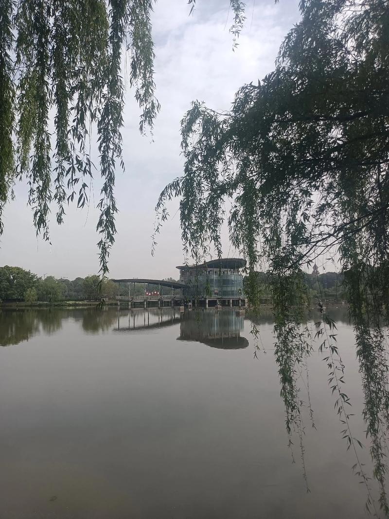 记录我的2026吃完饭值得逛逛了