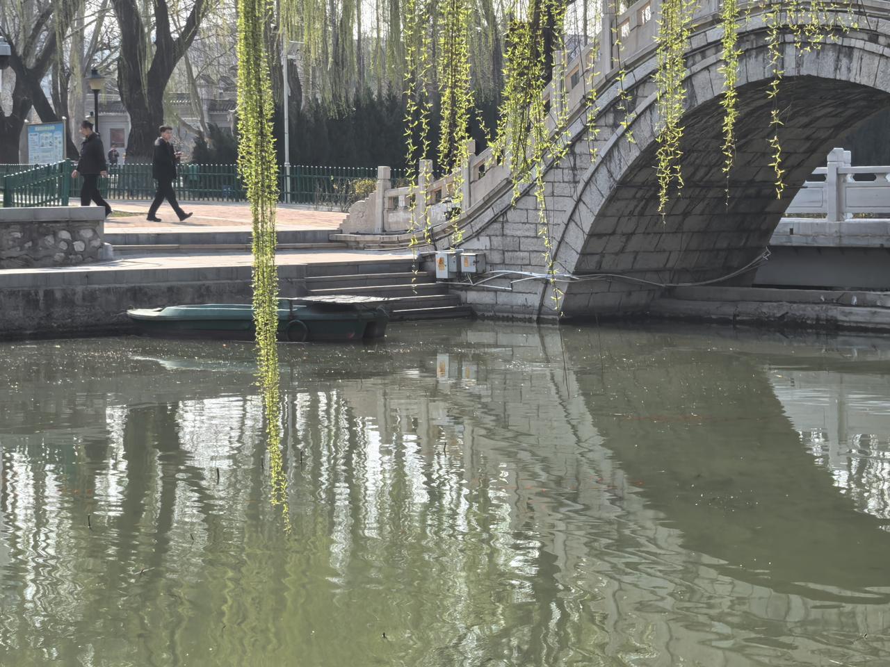 冰化了，
地醒了，
花开了，
柳绿了。