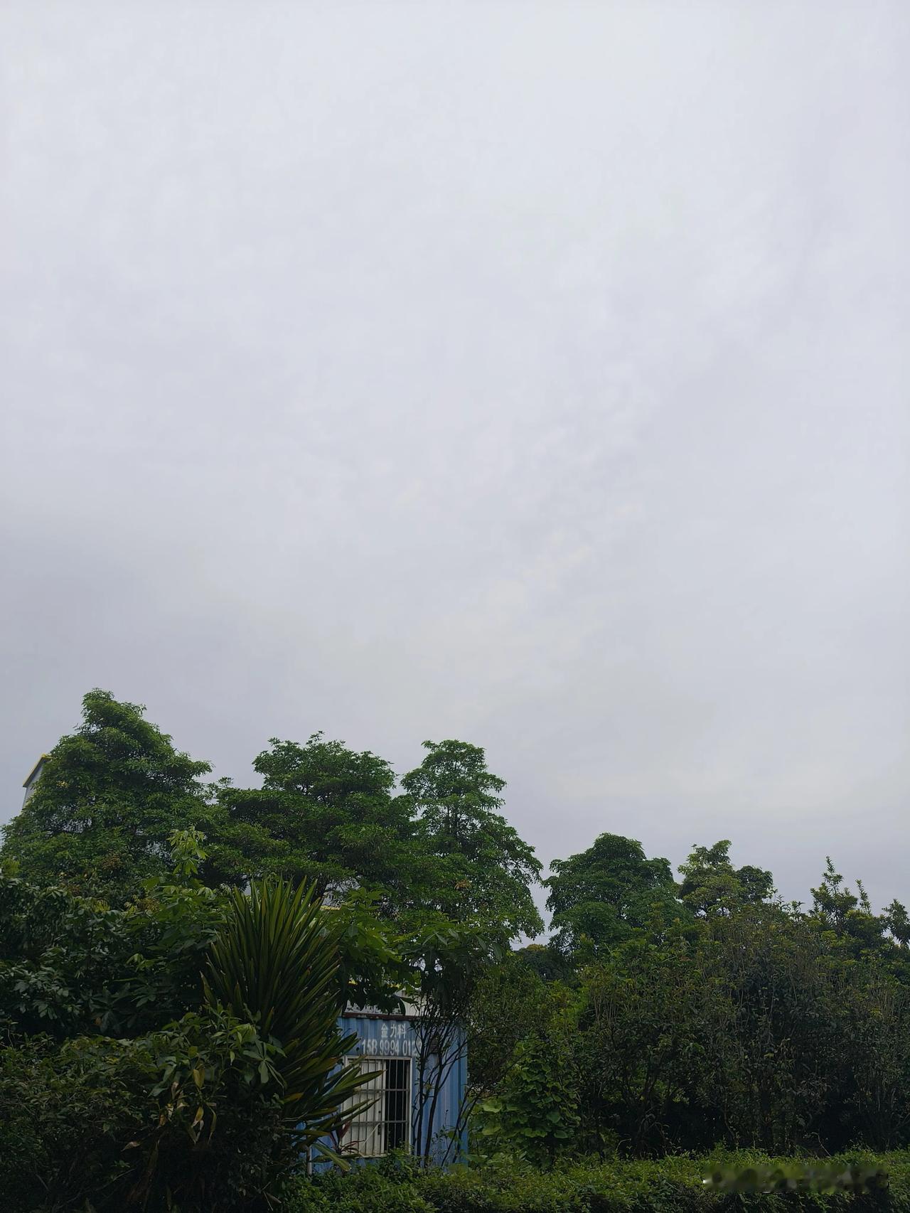 经过上午一场大雨的洗礼 ，乌云已散去 ，微风轻拂，此时的空气格外新鲜 。
