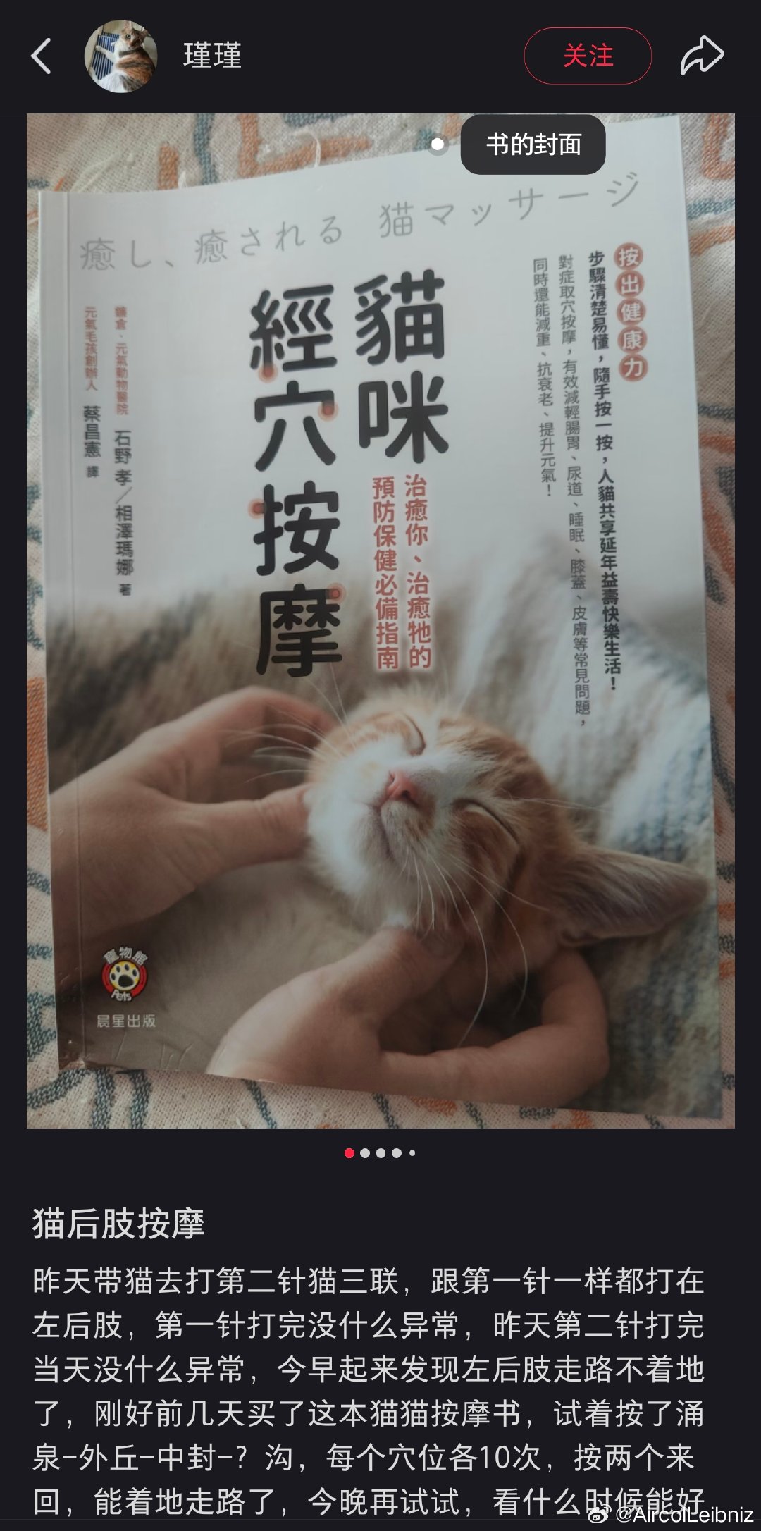 我猫呢 