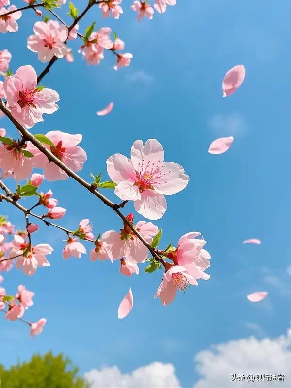 春风送暖，两会聚心。以信心锚定发展航向，以恒心铸就事业根基，以初心点亮民生灯火，