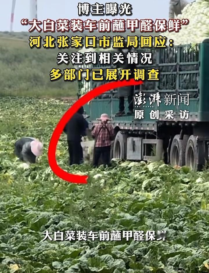 张家口甲醛白菜事件曝光后很多人都感觉非常吃惊，我却早已认识到了！
       