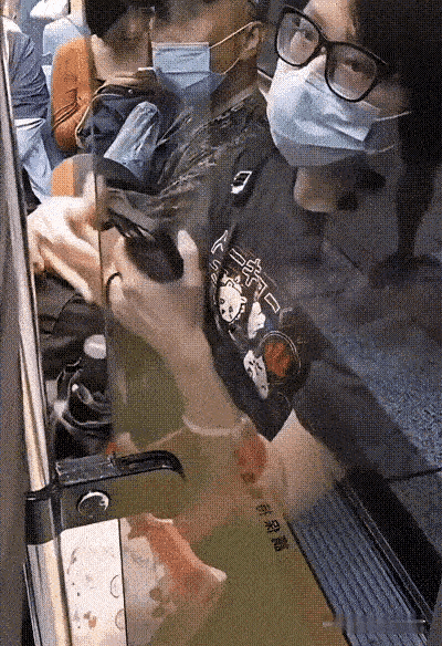 地铁车厢里发生这么一件事。一名男子把长伞斜靠在玻璃上，伞尖正对着前面的女子，虽然