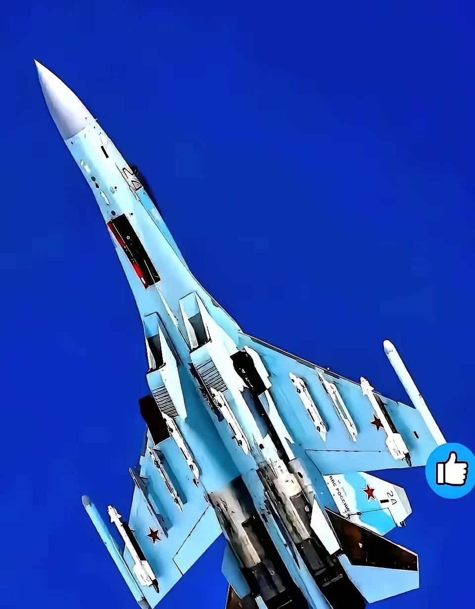 俄罗斯媒体《生意人报》上周放话称，俄空天军有意把当年卖给中国的24架苏35回购几