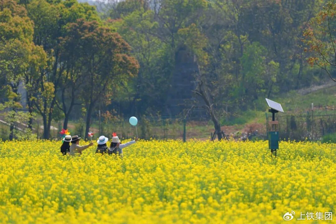 【共计32天！2026#长三角铁路春游运输方案已出台#：皖南多地成热门打卡地】春