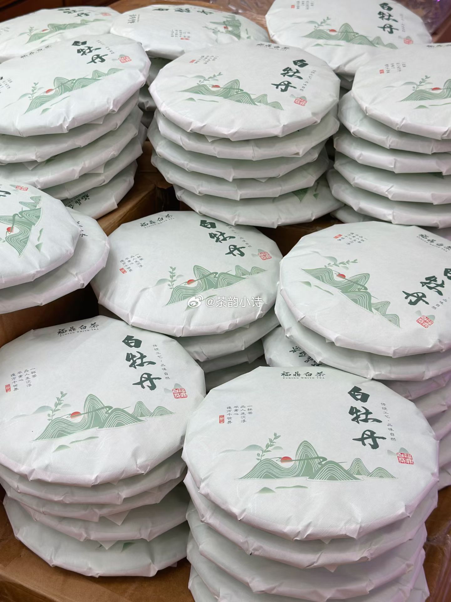 菊初开，枫将红，芳华新酿一壶秋 ​​​