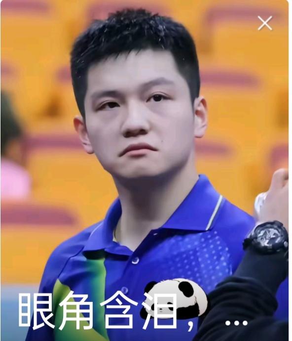 乒坛怪事多！！
粉丝的偶像有什么金牌，说什么金牌的含金量极高，没什么金牌，就说什