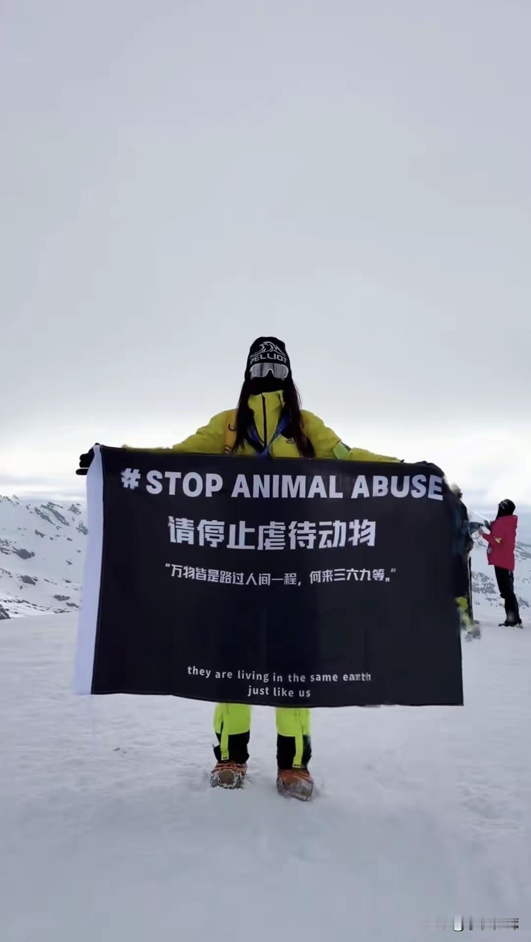 高速上救狗狗，吃了一顿野味。这是一个人吗？有位女子前往雪山之上高举旗帜，发声呼吁