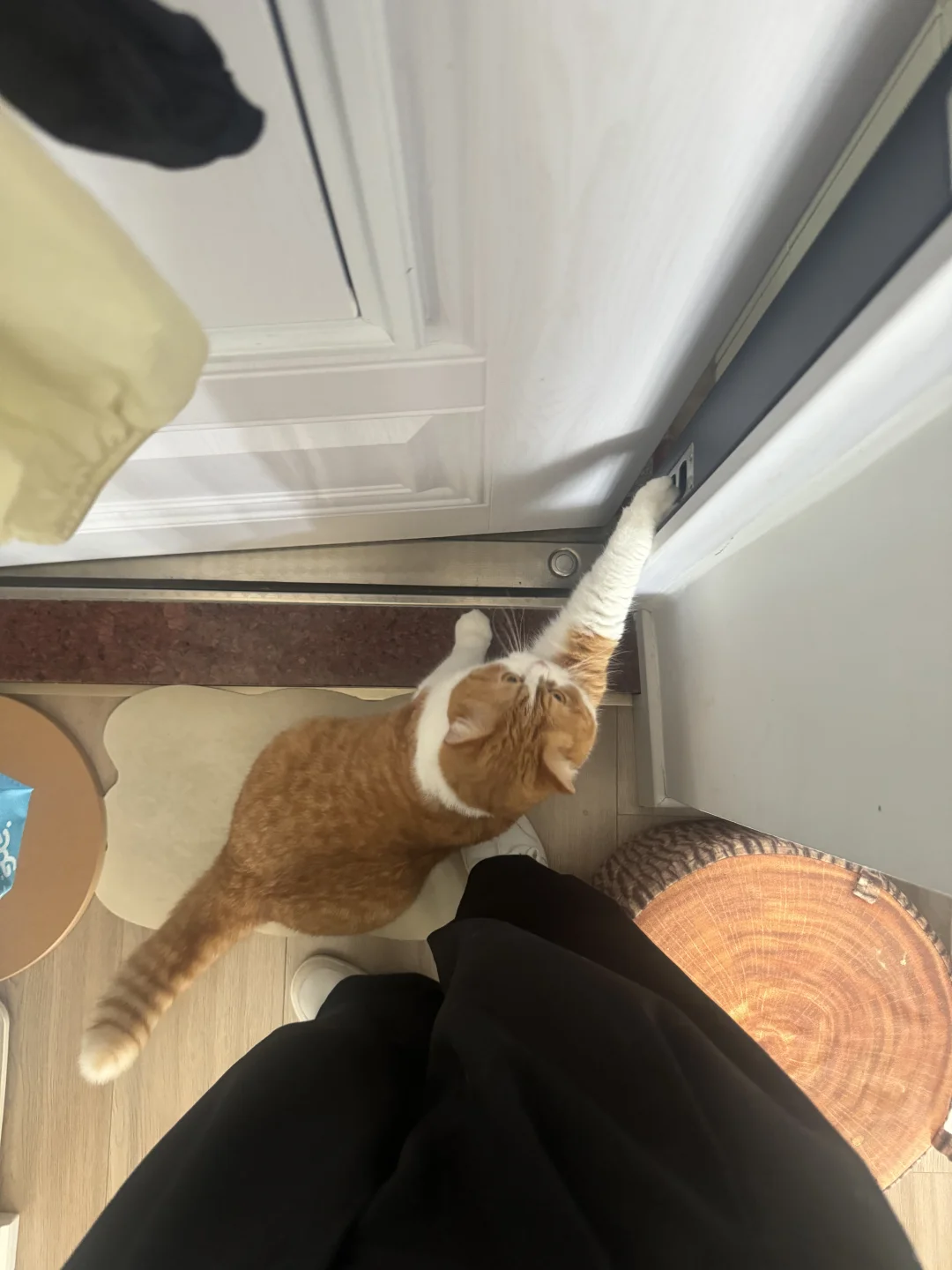 妈妈别去上班了