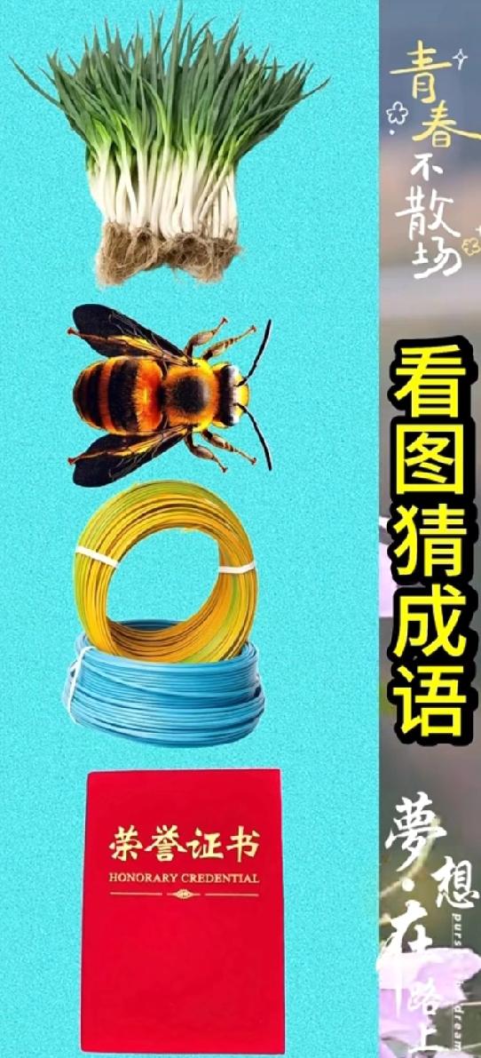小葱+蜜蜂+电线+奖状，这是什么成语？
