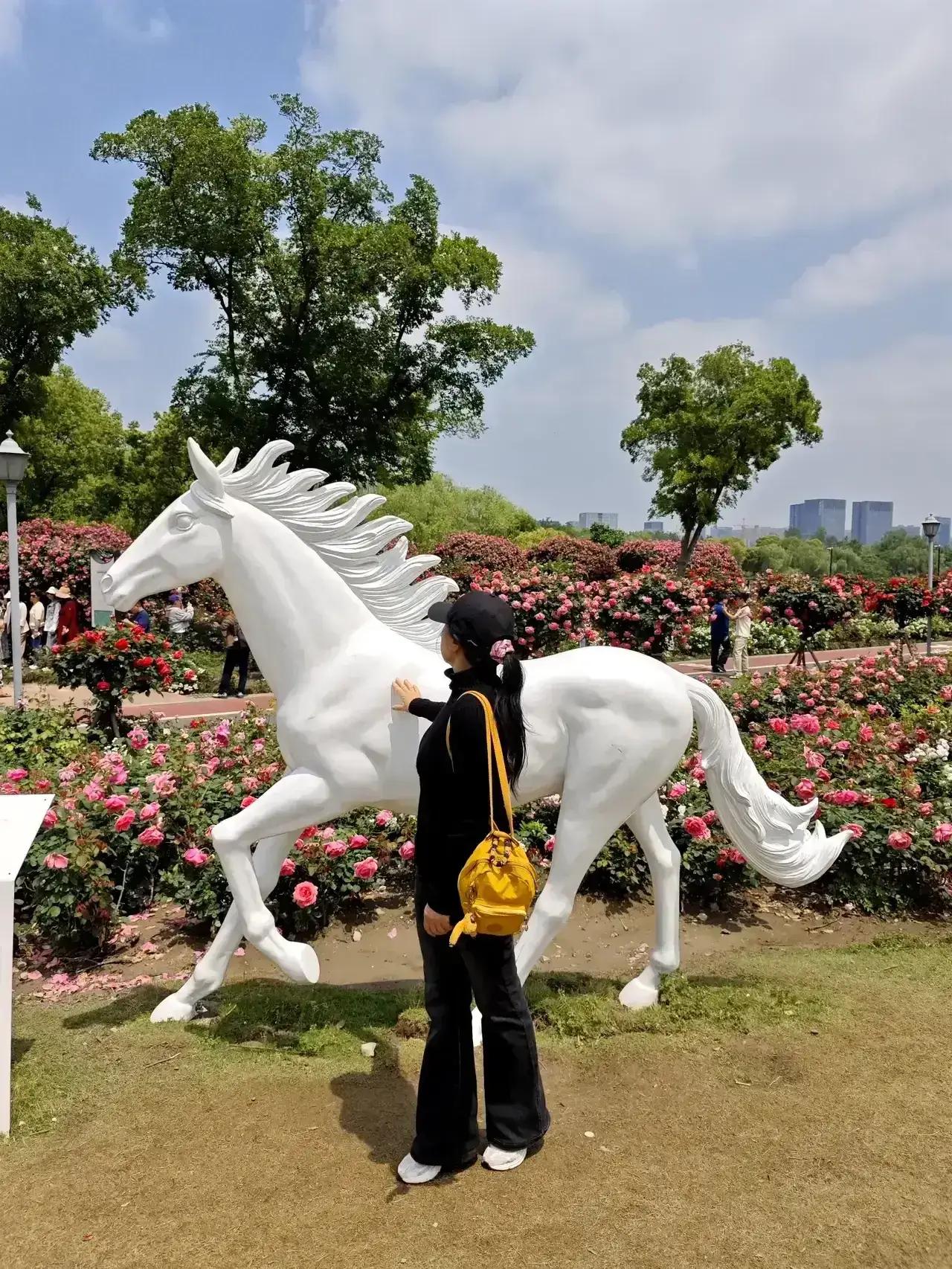 说起来杭州白马湖公园可能很多人有点陌生，如果说歌星华晨宇曾经在这里开过演唱会大家