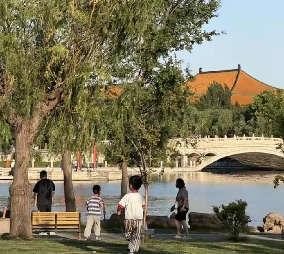 聊城东昌湖，百花岛，重新开放啦！小时候常来玩的小岛，现在依旧让人喜欢。树荫下特别