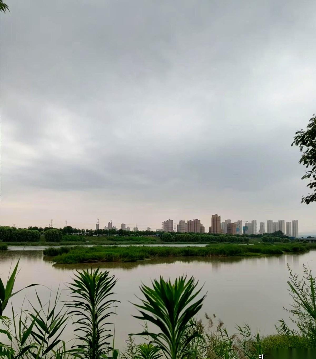 下午五点多，宝鸡。天气预报里那个带着闪电的小云朵，在手机屏幕上冲我眨眼，窗外，一