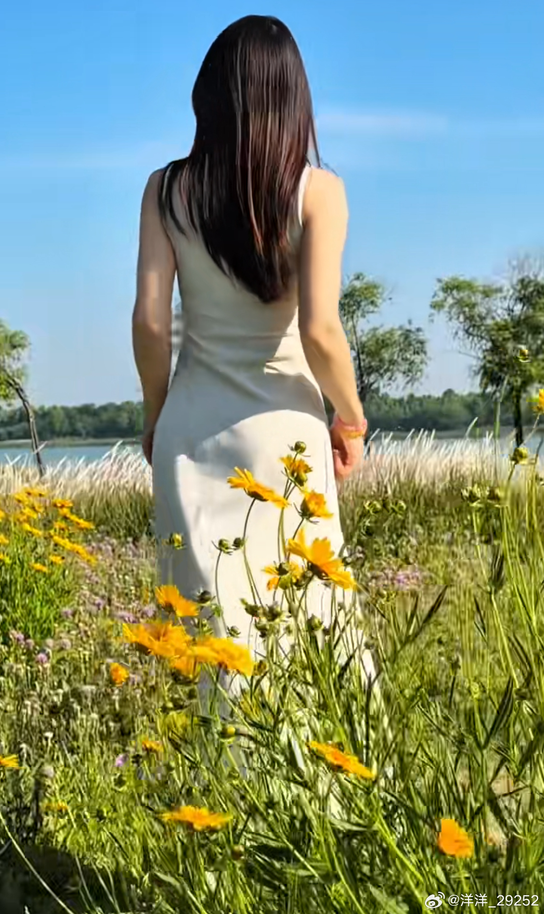 洋洋高锐～夏……梦◎天热好个夏……吗◎坐在天边遥……望再遥望◎山……有棱云……在