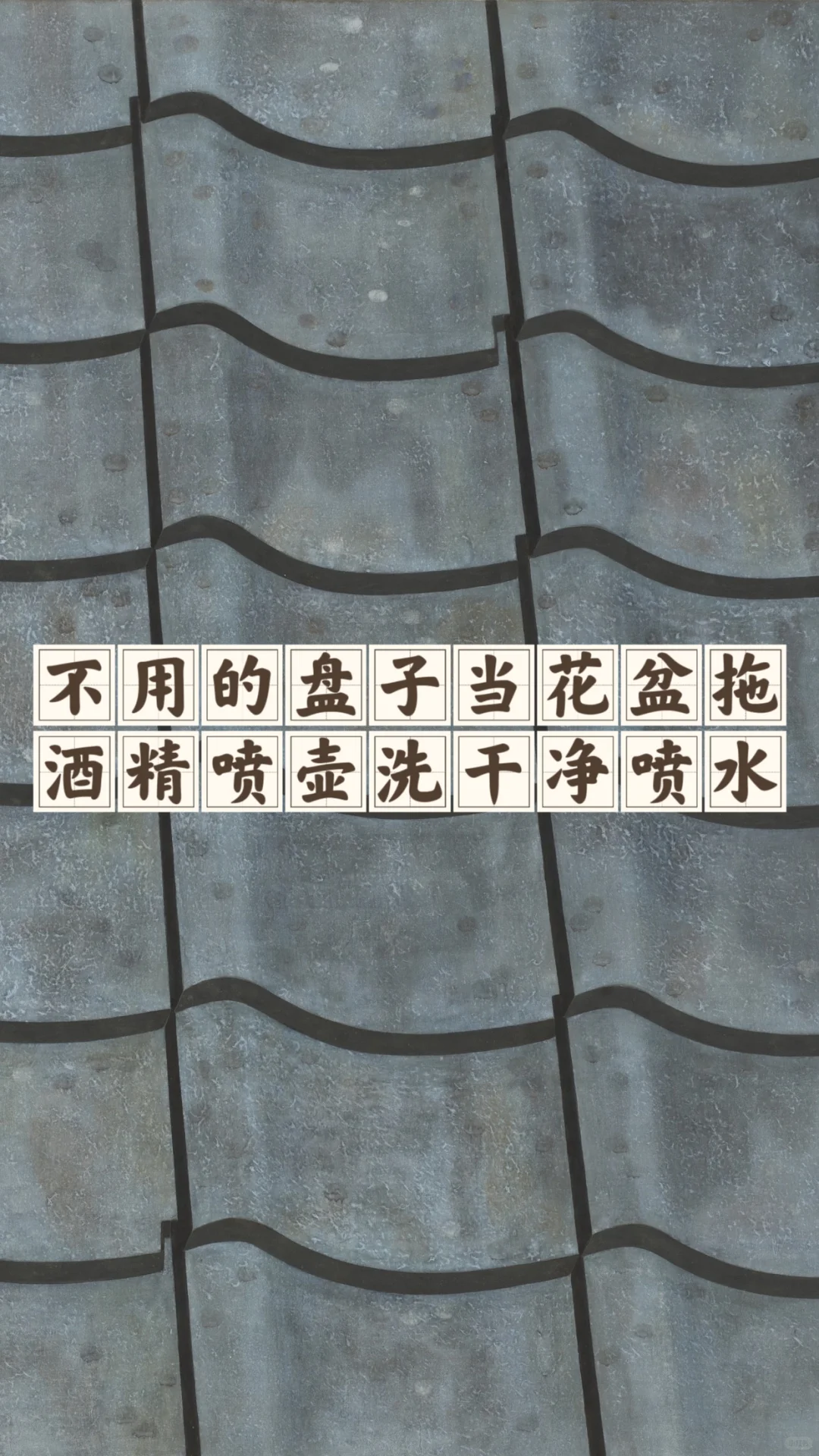 省钱经493:不花钱养花