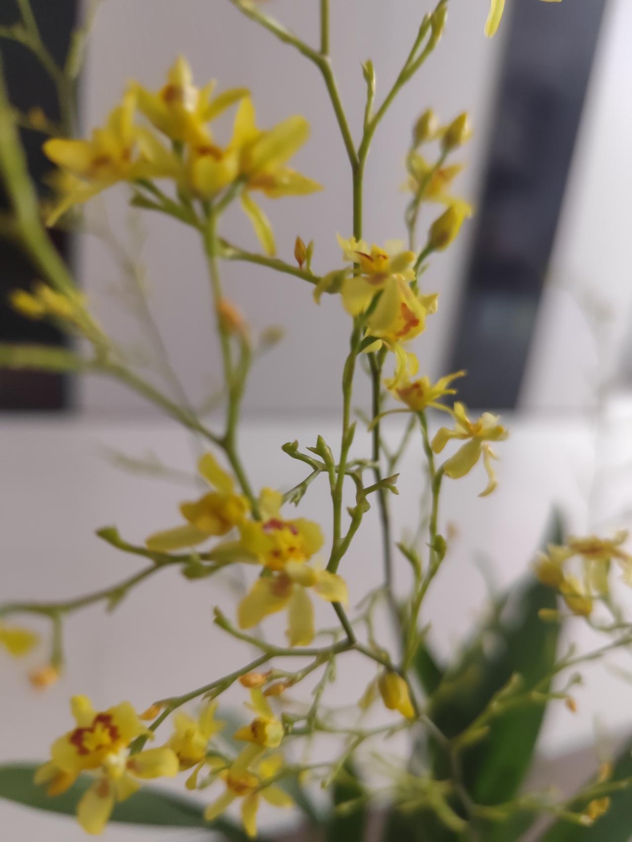 现在很多人缺少起码的同情心。
宋清辉，这个人你可以不喜欢，但他悼念自己的孩子，还