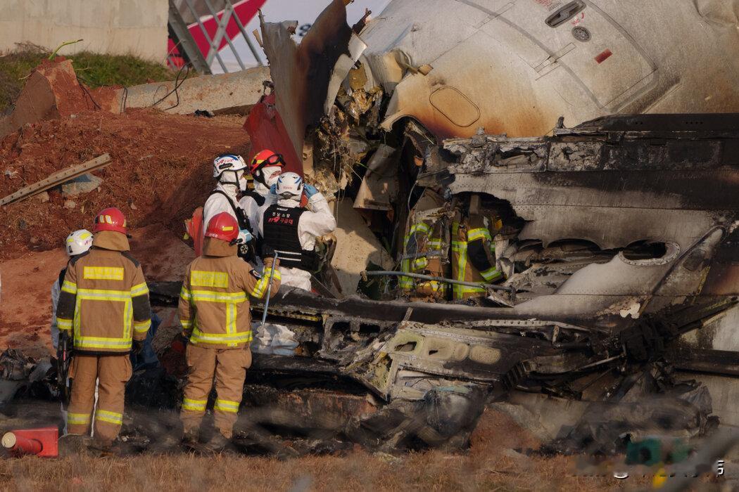 韩国的空难事件造成179人死亡，这是个重大的空难事件，引起了全球的高度关注，美国