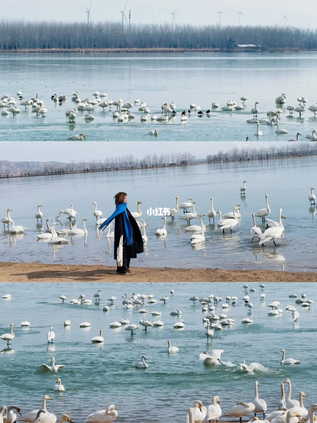 真不是国外❗️就在山西邂逅离童话最近的地方
