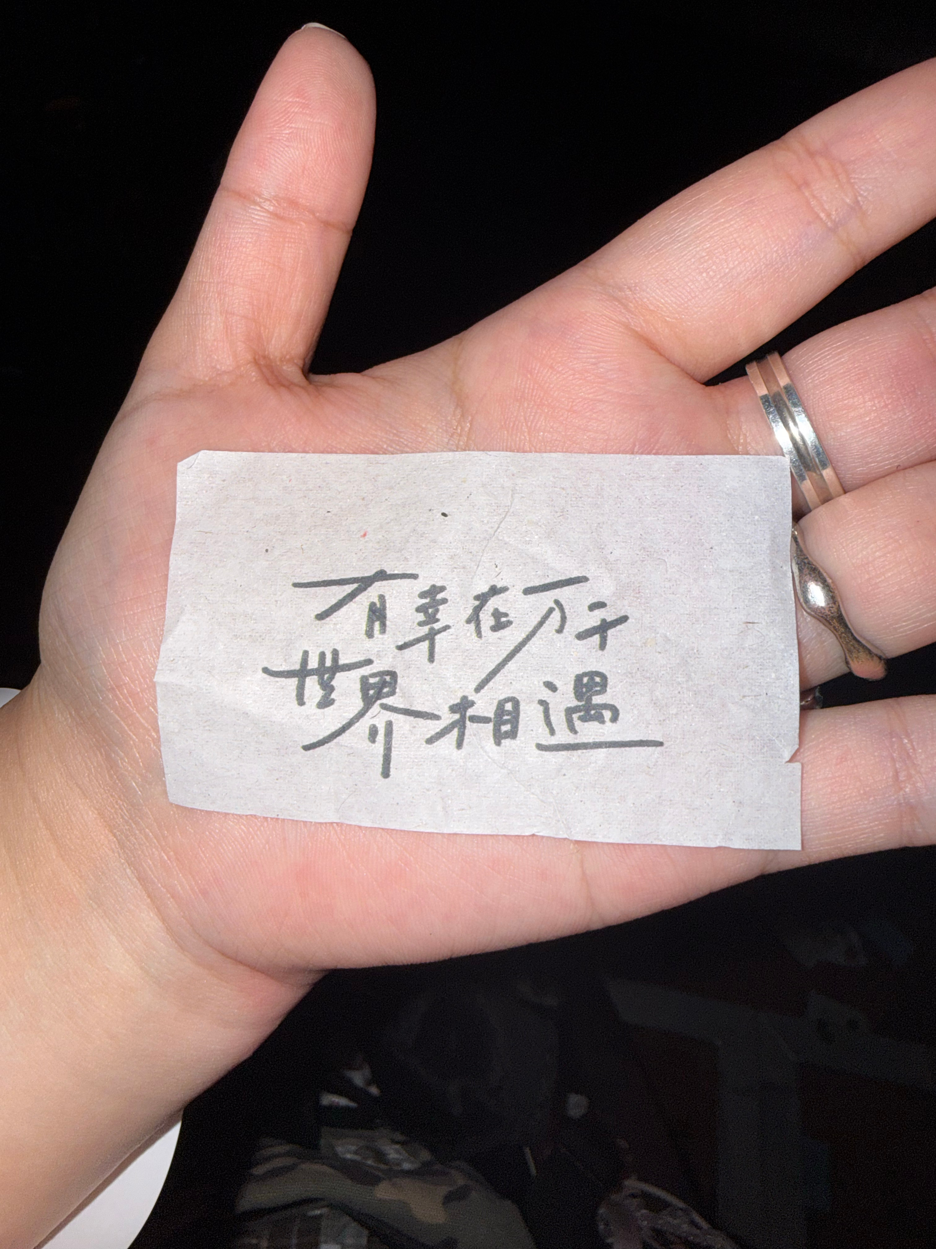 礼花看的我想哭+_+“有幸在万千世界相遇” 