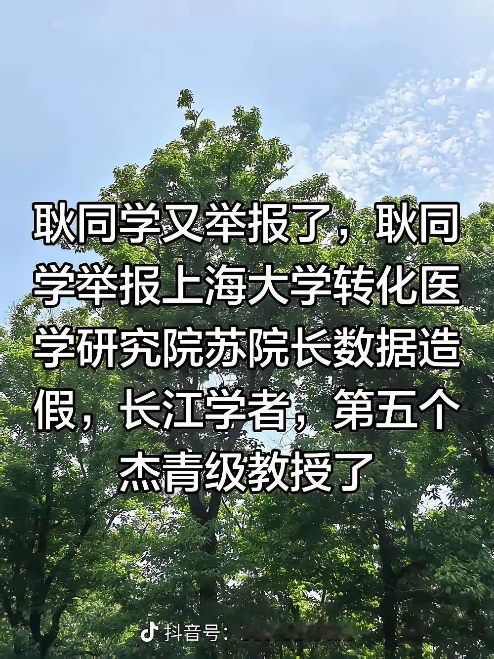 北航的耿同学又又立大功了。
他堪称学术圈打假第一人，是学术圈的纪委书记。

政府