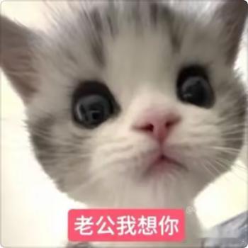 分享图片 ​​​