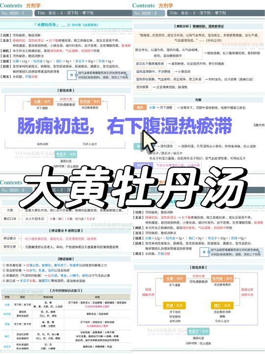 一起学第225篇｜方剂··大黄牡丹汤