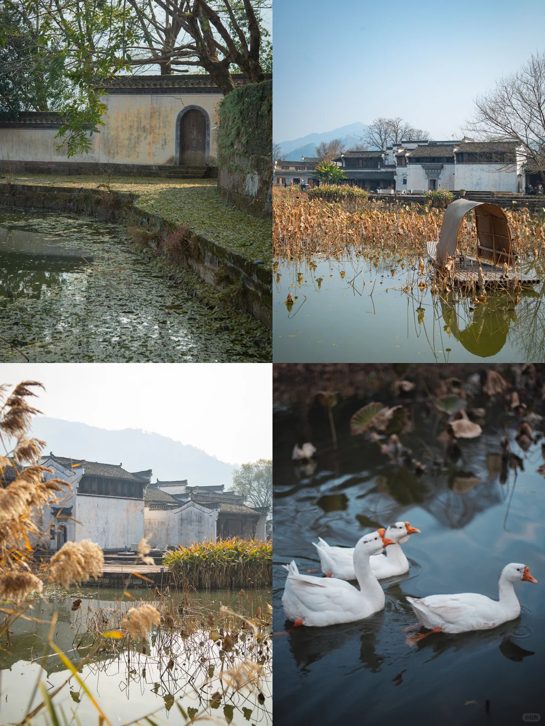 李现同款拍摄地，初冬水墨画的邀约
