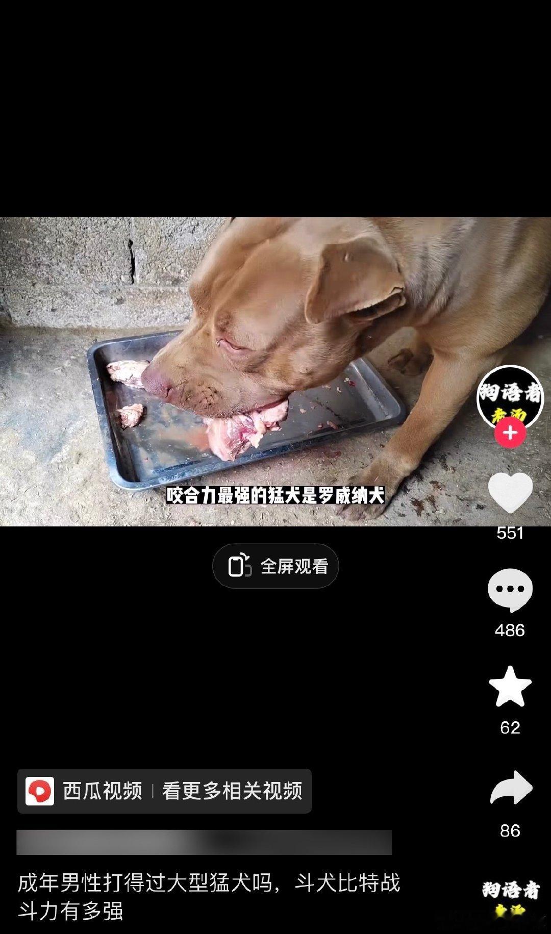 #绝对力量# ​​​