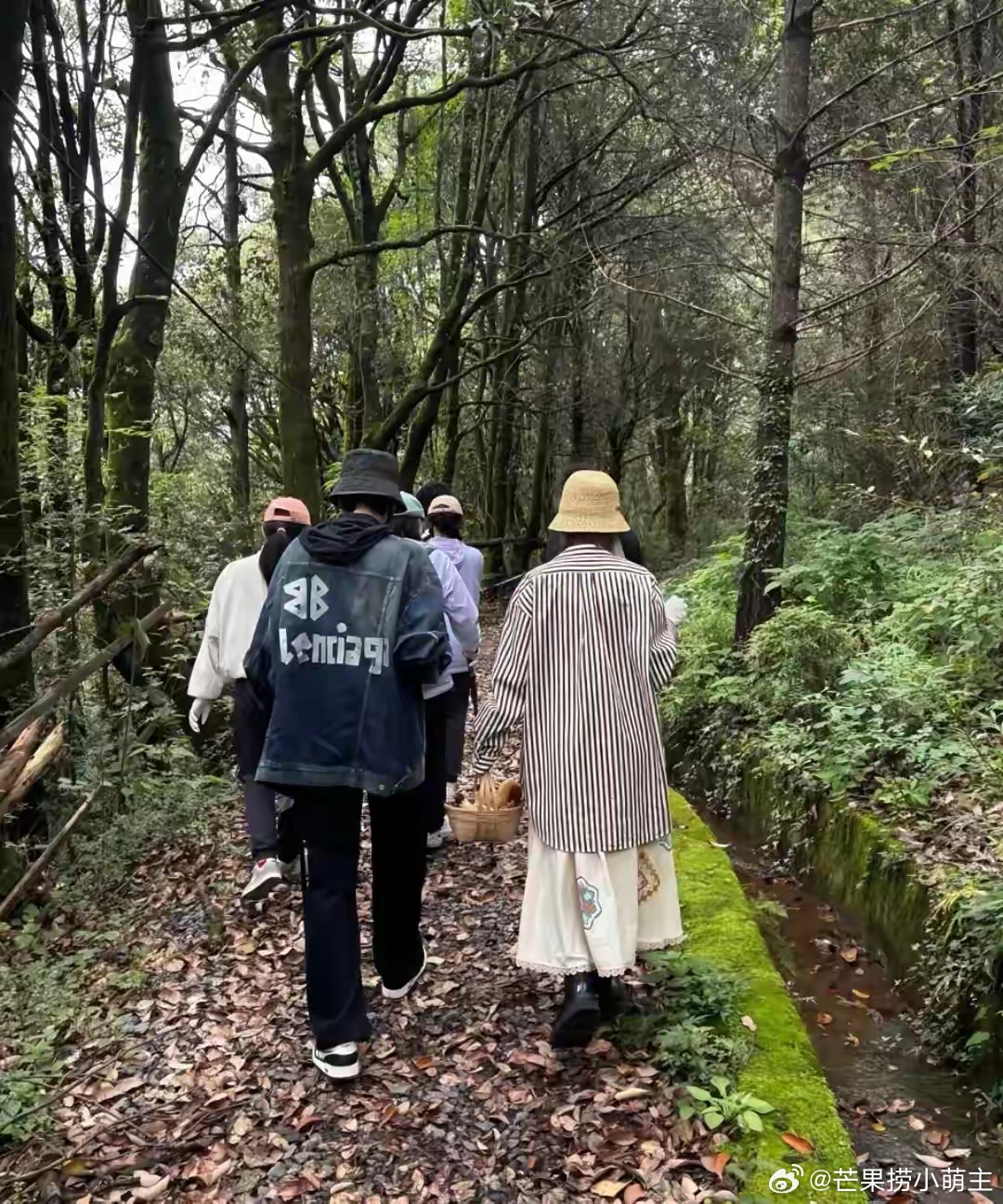 张若昀唐艺昕云南采菌子偶遇张若昀唐艺昕采菌子 张若昀唐艺昕云南游玩，夫妇俩体验采
