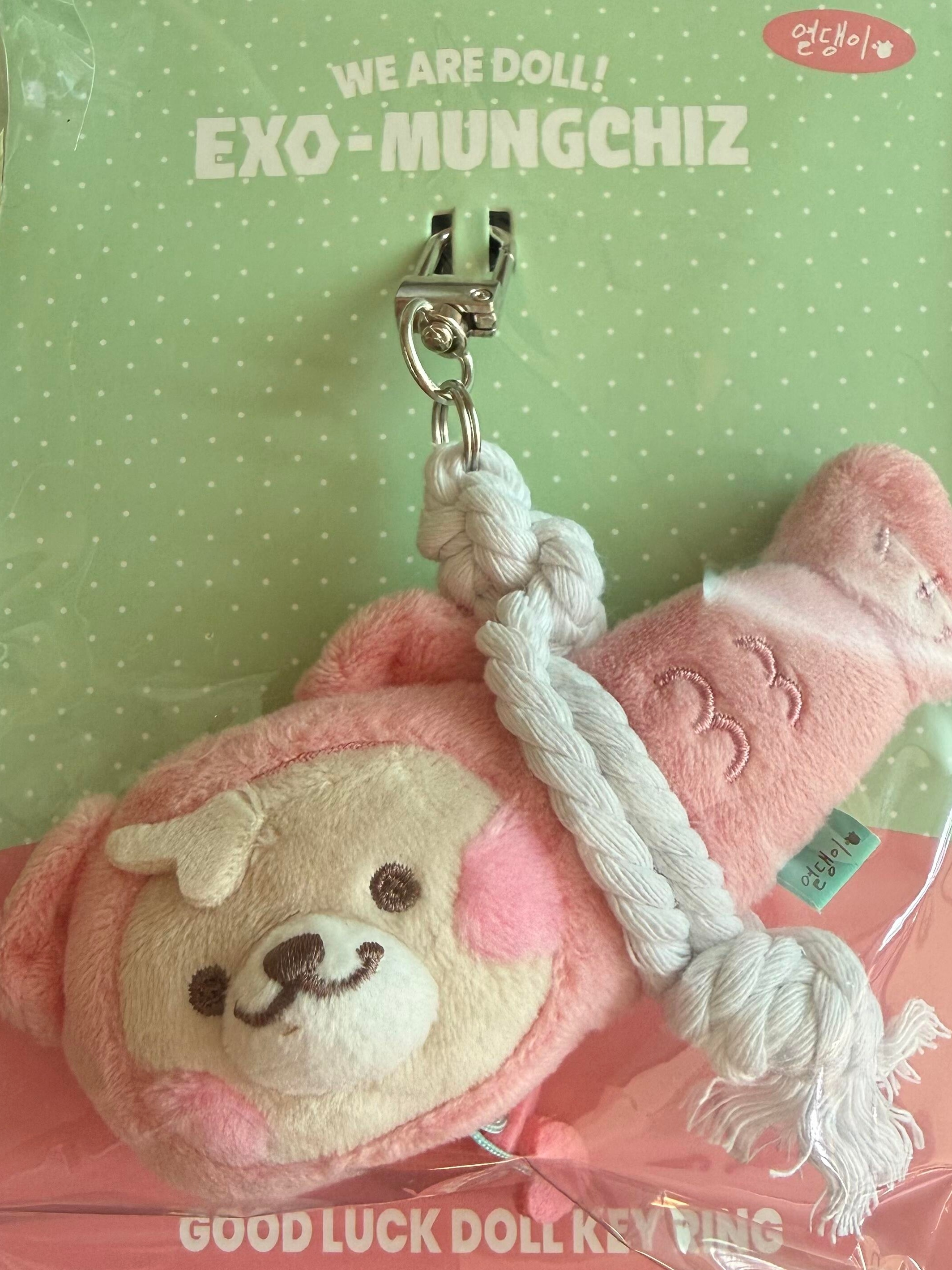 朴灿烈 🍒朴灿烈唯一官方门面樱桃狗的鱼干实物好可爱呀🐶🐟🫳🏻 