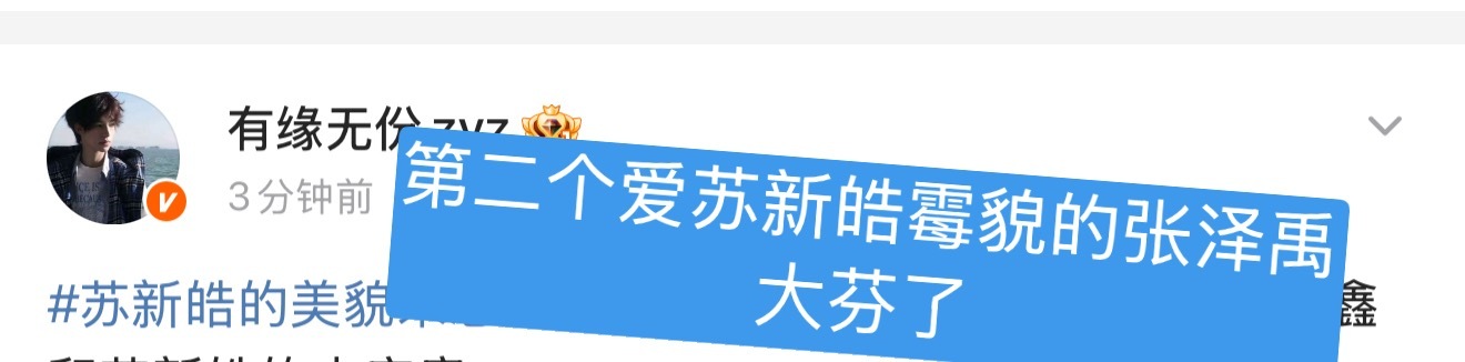 不是张泽禹大芬到底多爱苏新皓的霉貌啊，自己爱就行了哈