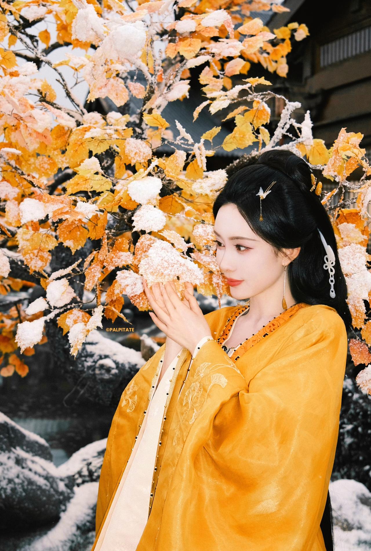 雪落无声处 共赴昭华

／孟子义.【百花杀】 ​​​