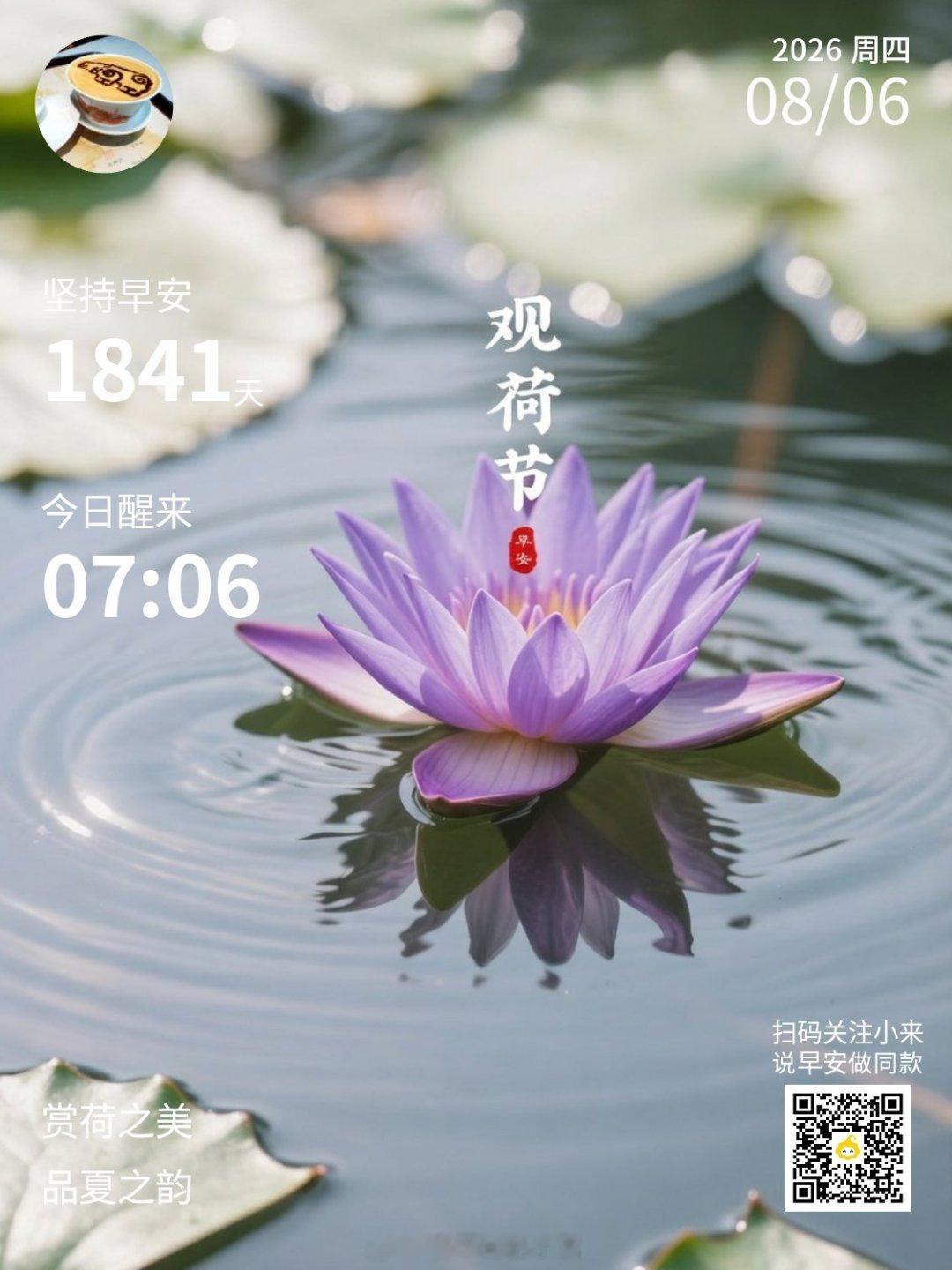 早上好,新的一天观荷听雨成都天气早上好！今逢观荷节，荷花庆生辰。“小荷才露尖尖角