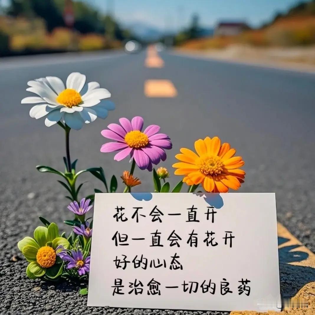 心眼不好的人，面相就不好，尽管这人五官长得很好，人也年轻，甚至表面上看上去很聪明