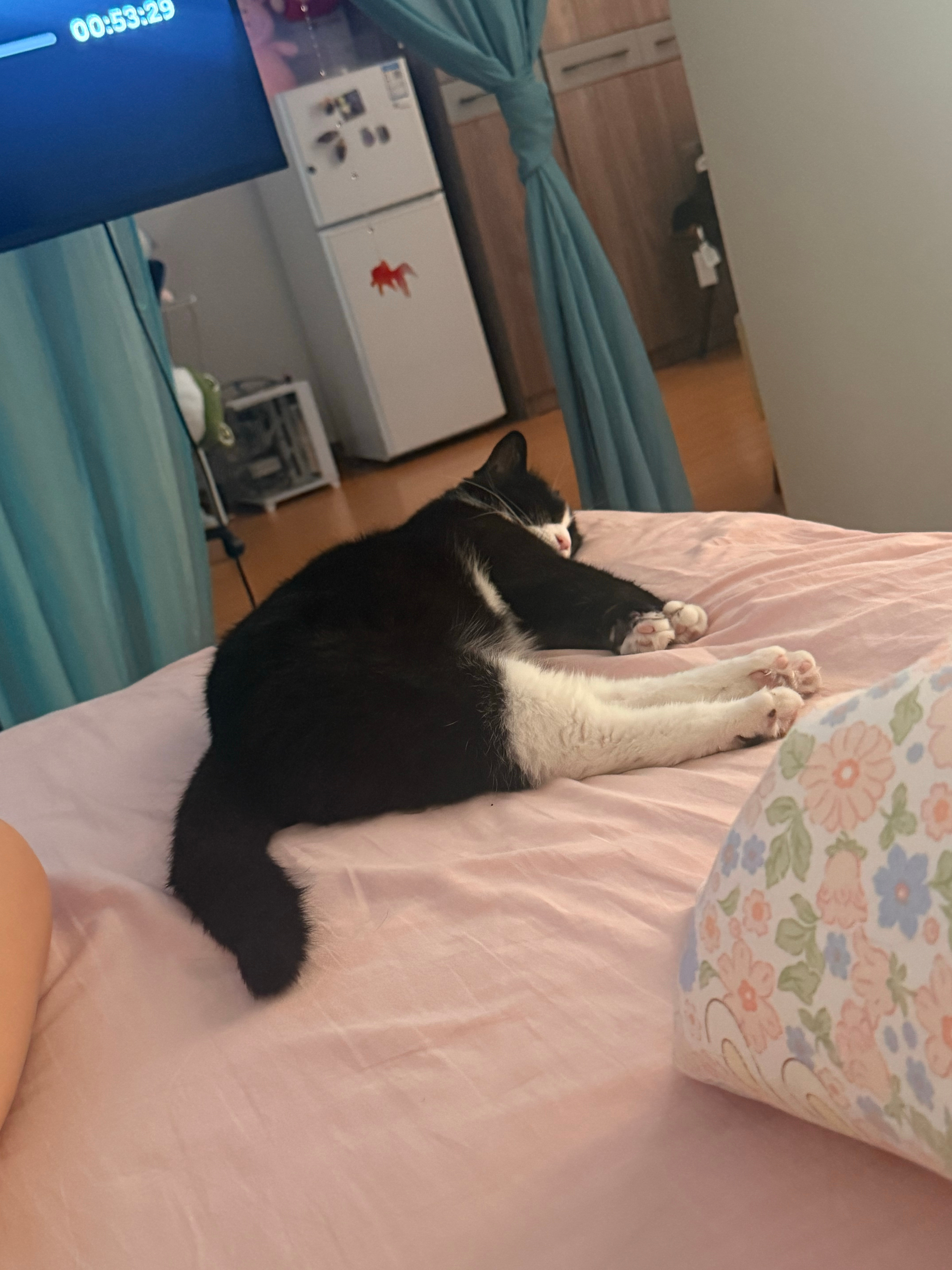 谁会不想抱进怀里一顿猛亲…… 