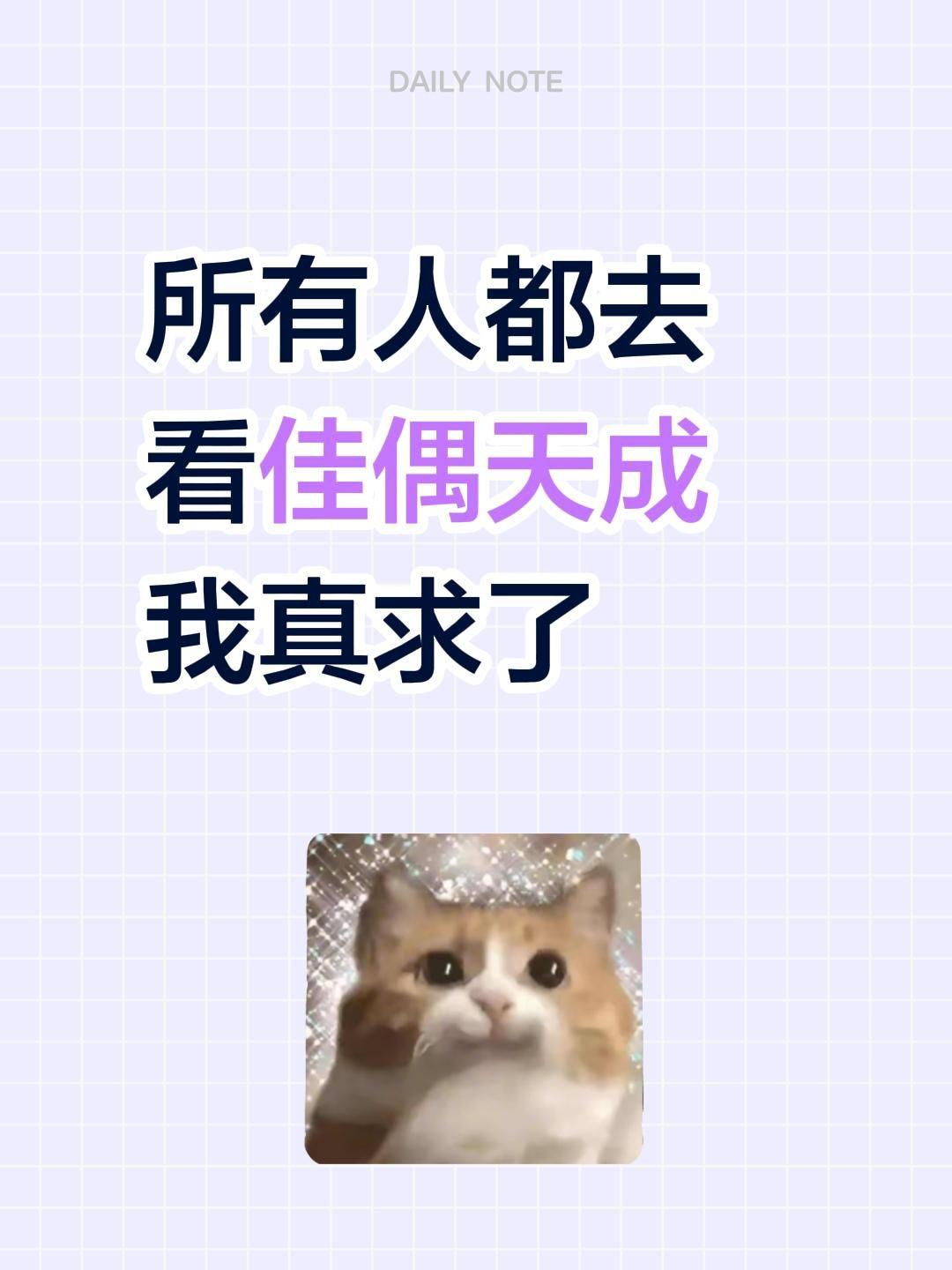 所有人都去看佳偶天成我真求了佳偶天成 任嘉伦 王鹤润 陆千乔