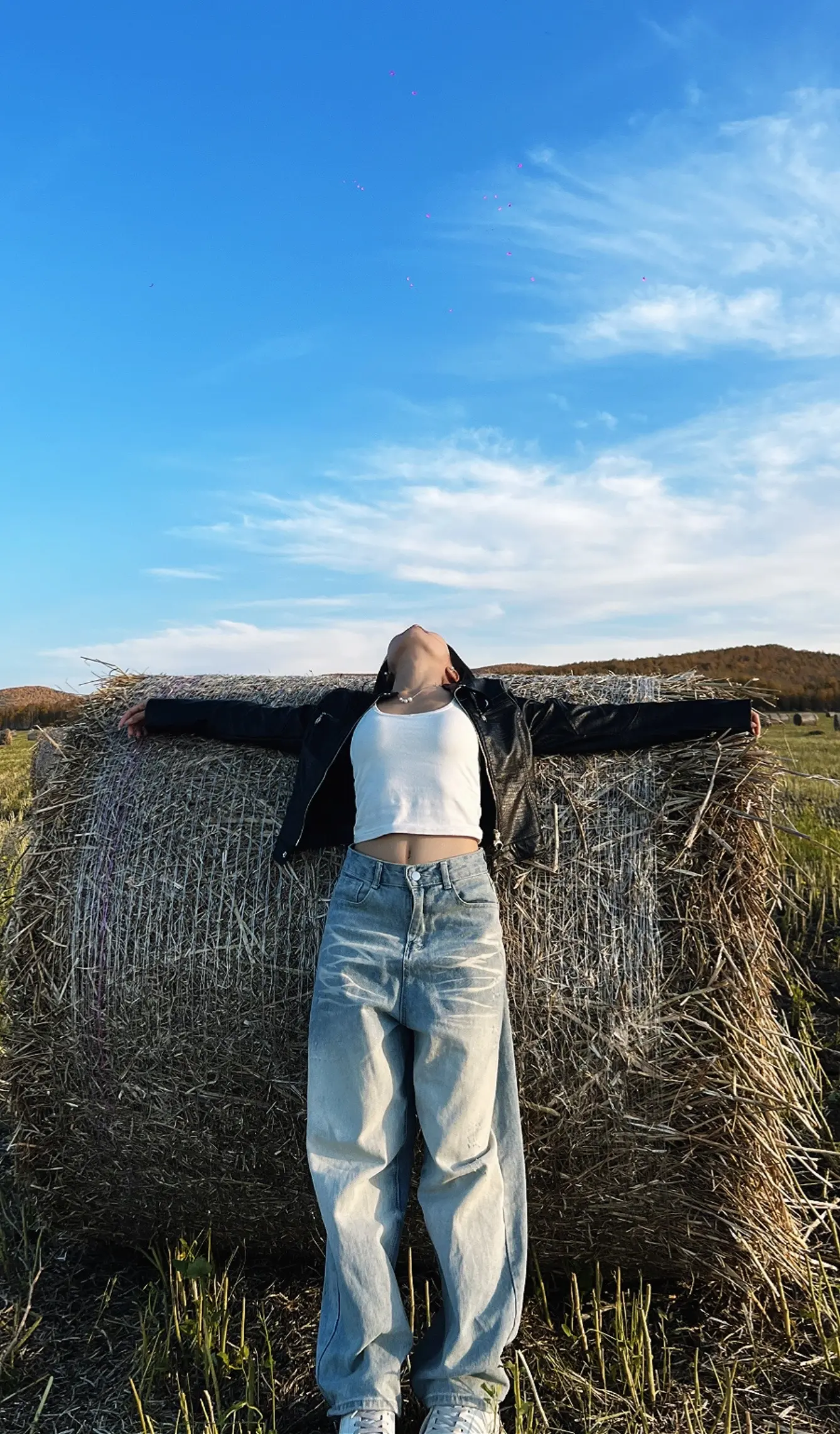 “瑞士卷 ”我会反复的爱上你。