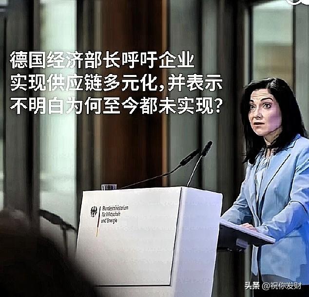 德国经济部长在一次演讲中对德国企业提出了质疑：为什么你们没有实现供应链的多元化，