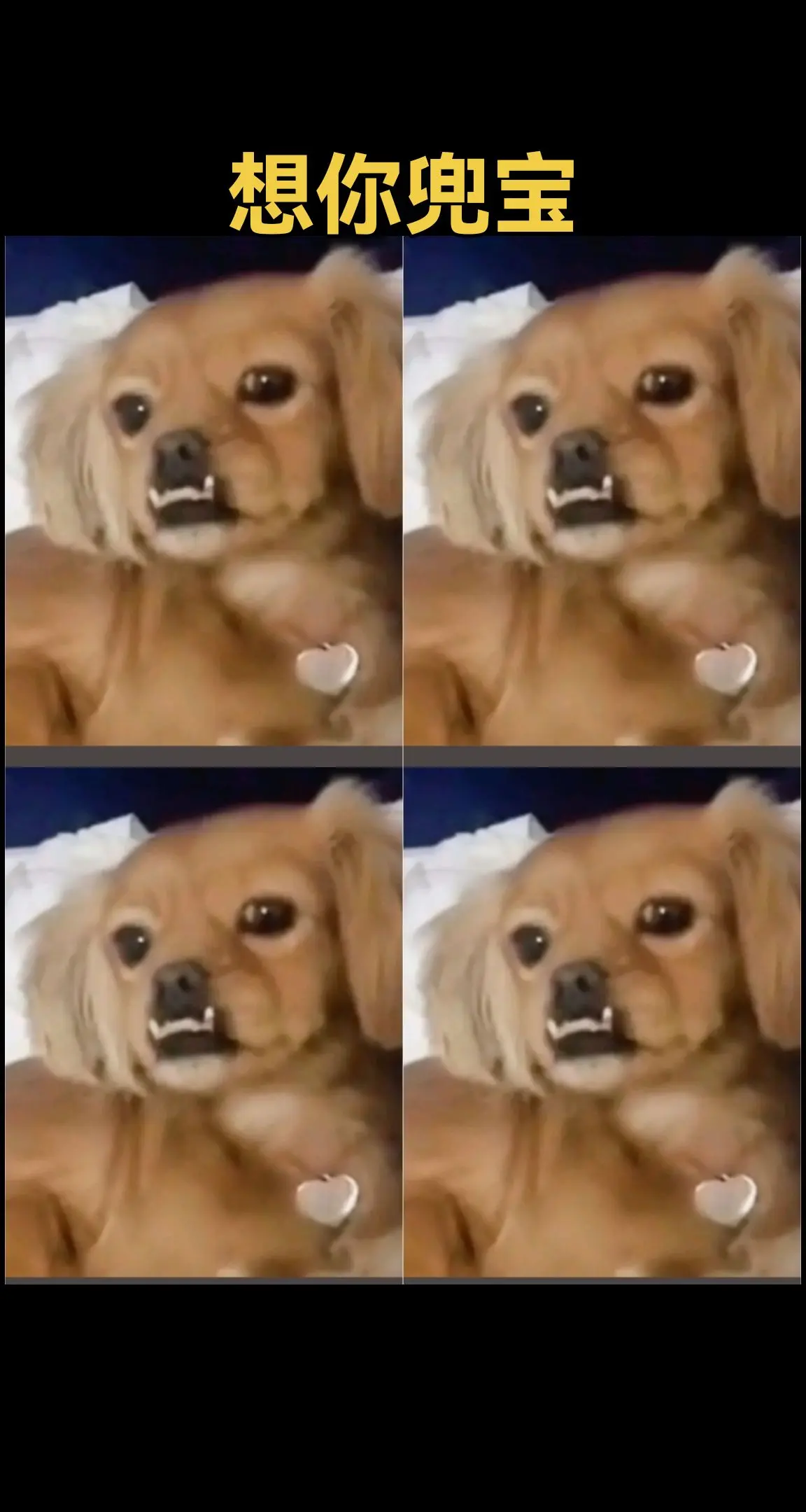 永远的思念🙏😭