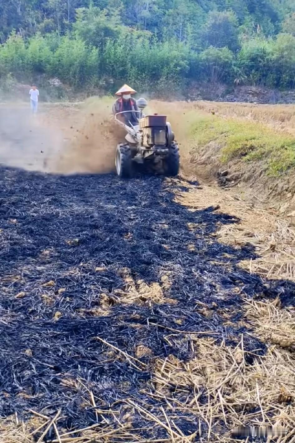 就像打完胜仗一样开心！哈哈哈
燃烧产生的气体还可以净化空气，起码是可以沉淀无害气