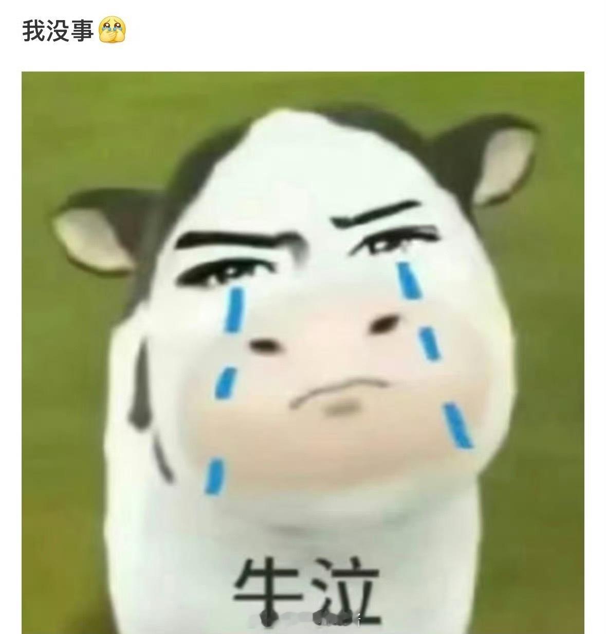 心疼这个主包！一定要好好休息啊～下次小心点oo33的鸽 2026pel