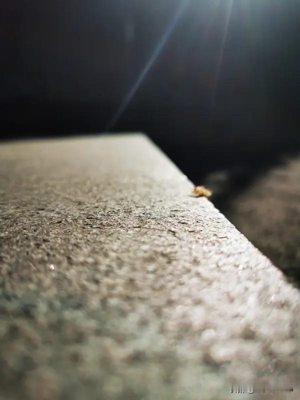 微光亮于裂缝，恰是光照进来的地方。