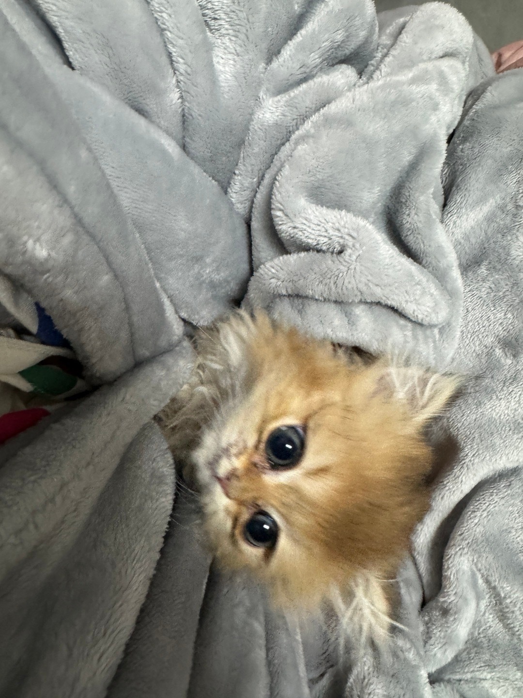 yomi的日常 ​​​