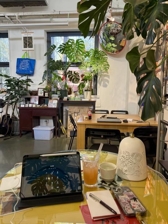 本天津i人好这种能坐一天的舒服咖啡店☕🌴