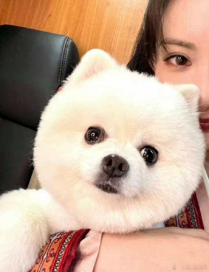 曾舜晞说孟子义百花杀爆爆爆  果然是好哥们呀，曾舜晞说孟子义百花杀爆爆爆，给咱们