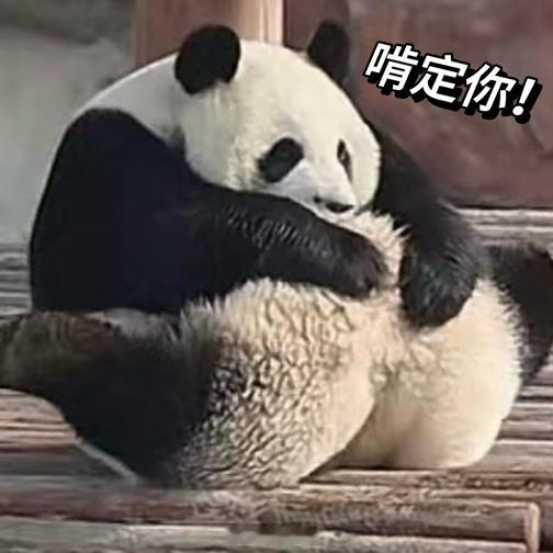 聊天必备表情包第479弹黑白小圆子（拿图吱声） ​​​